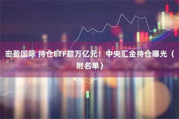 宏盈国际 持仓ETF超万亿元！中央汇金持仓曝光（附名单）