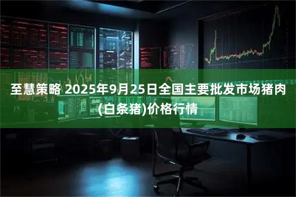至慧策略 2025年9月25日全国主要批发市场猪肉(白条猪)价格行情