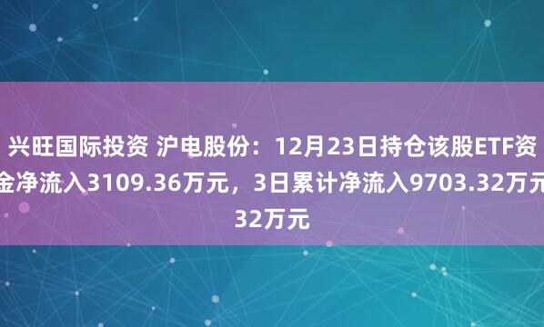 兴旺国际投资 沪电股份：12月23日持仓该股ETF资金净流入3109.36万元，3日累计净流入9703.32万元