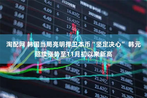 淘配网 韩国当局亮明捍卫本币“坚定决心” 韩元延续涨势至11月初以来新高