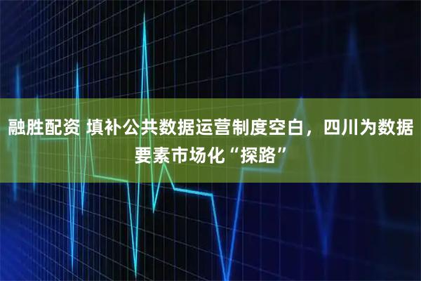 融胜配资 填补公共数据运营制度空白，四川为数据要素市场化“探路”